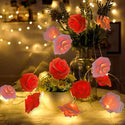 Rose Shaped Fairy Lights 3M